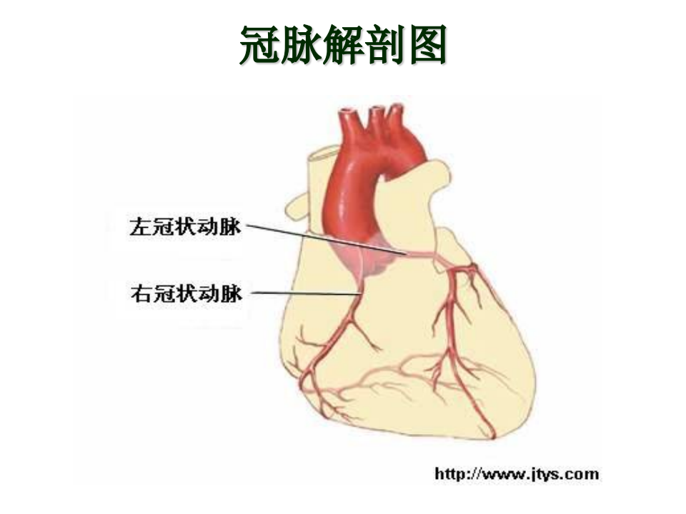 144心血管内科-冠心病(课件).ppt 第5页