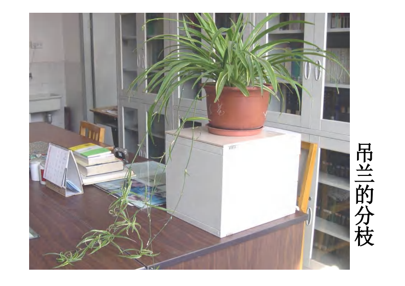 全息理论的临床应用.pdf 第4页