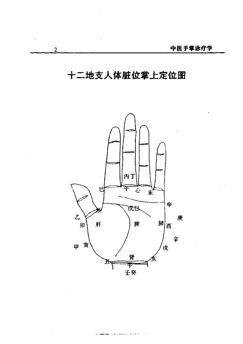 中医手掌诊疗学（周鑫）.pdf 第5页