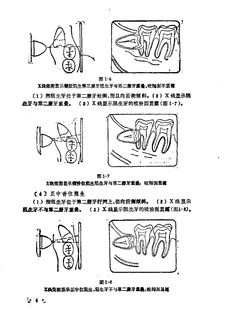口腔小手术指导 .pdf 第4页