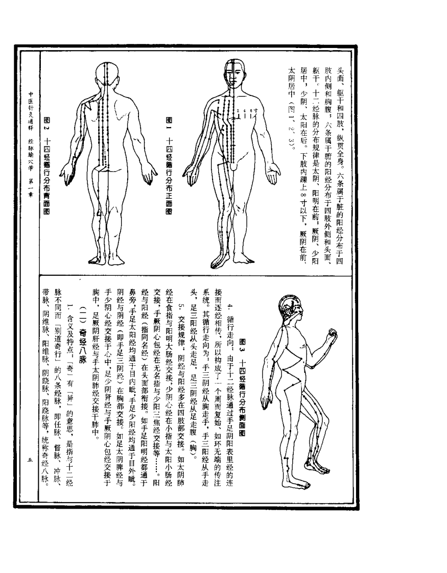 中医针灸通释 经脉腧穴学（康锁彬）.pdf 第5页