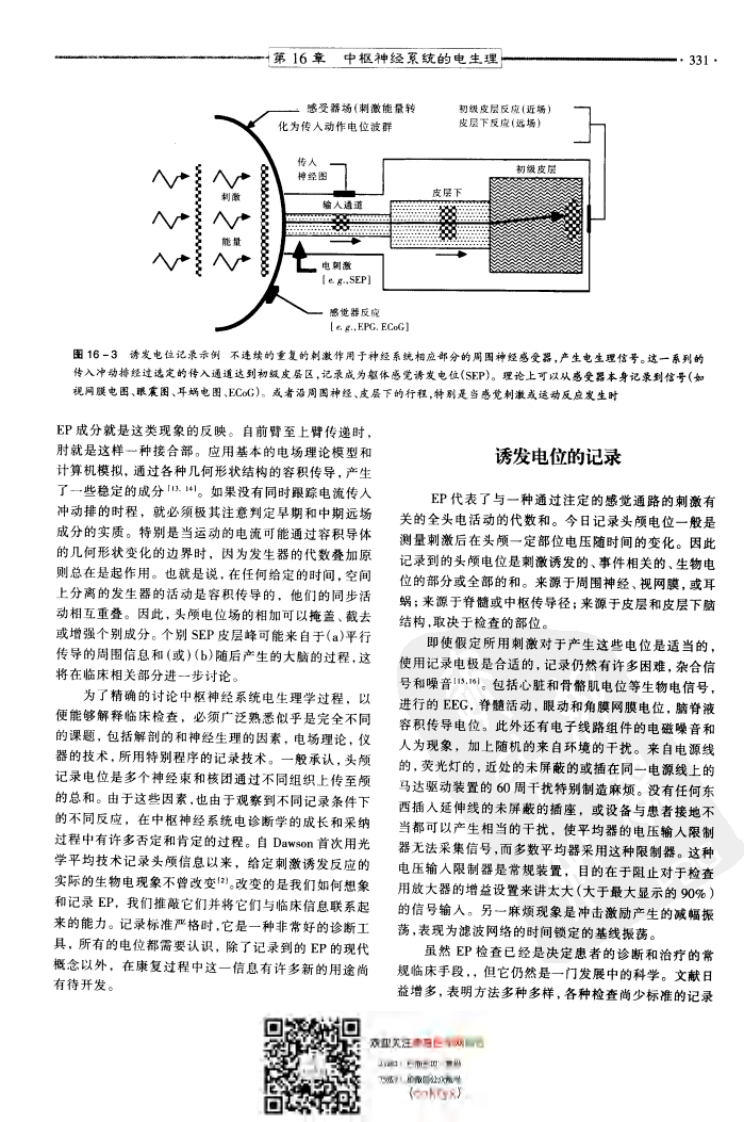 康复医学--理论与实践(CNS电生理).pdf 第4页