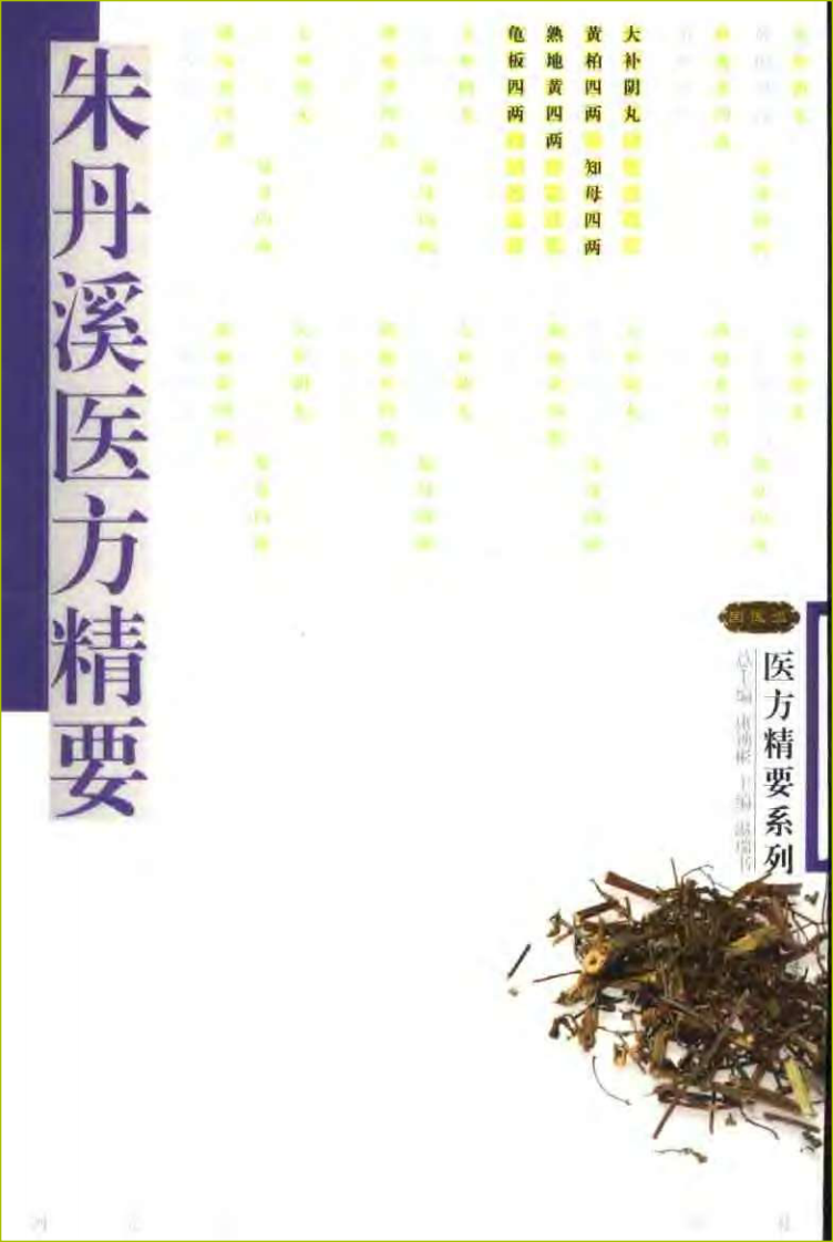朱丹溪医方精要.pdf 第1页
