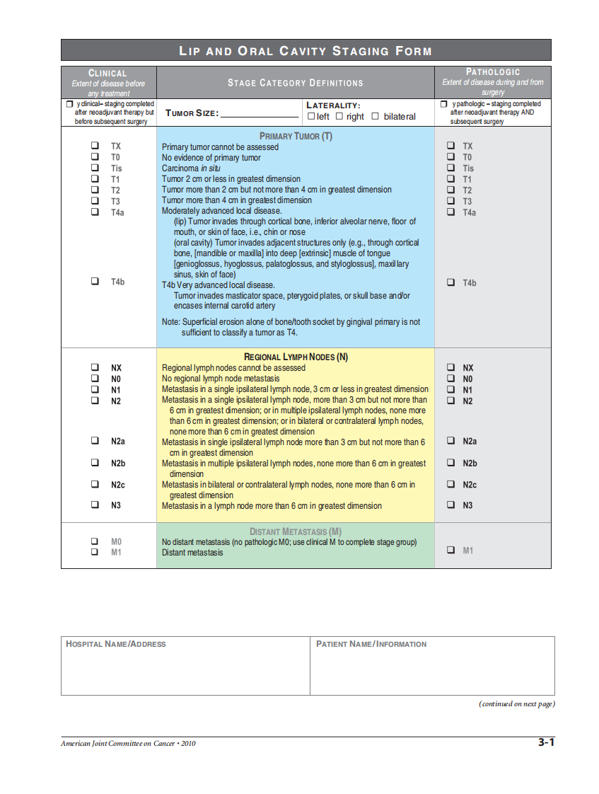 AJCC肿瘤分期手册（第7版）（英文版）.pdf 第2页