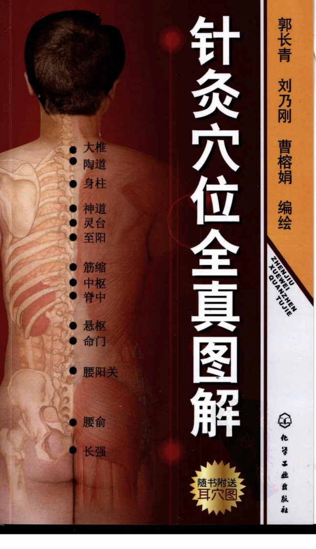 针灸穴位全真图解（超清版）.pdf 第1页