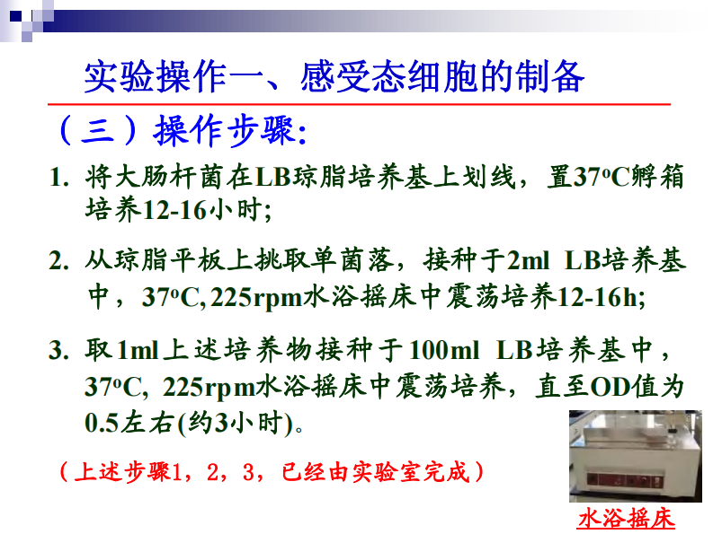分子实验-第三次课 感受态制备 转化.pdf 第5页