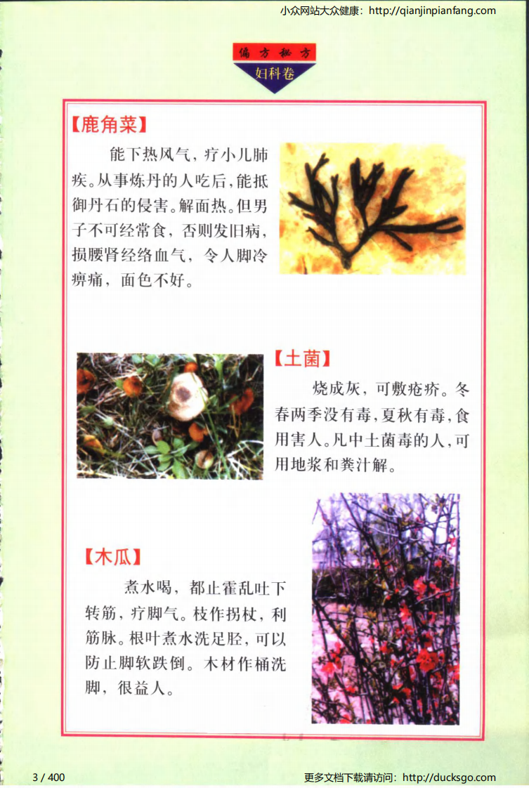 实用偏方秘方经典 - 妇科（张家林）.pdf 第3页