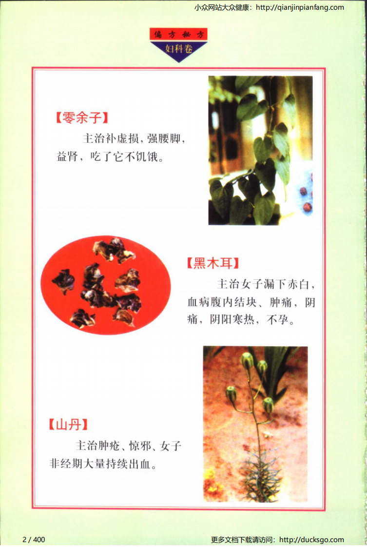 实用偏方秘方经典 - 妇科（张家林）.pdf 第2页