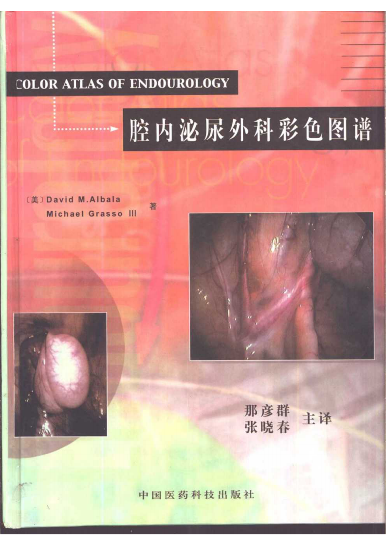 腔内泌尿外科彩色图谱（那彦群  译）.pdf 第1页