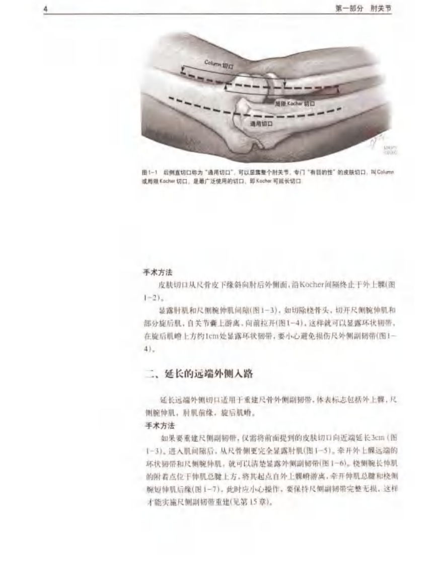 骨科标准手术技术丛书 — 肘.pdf 第3页