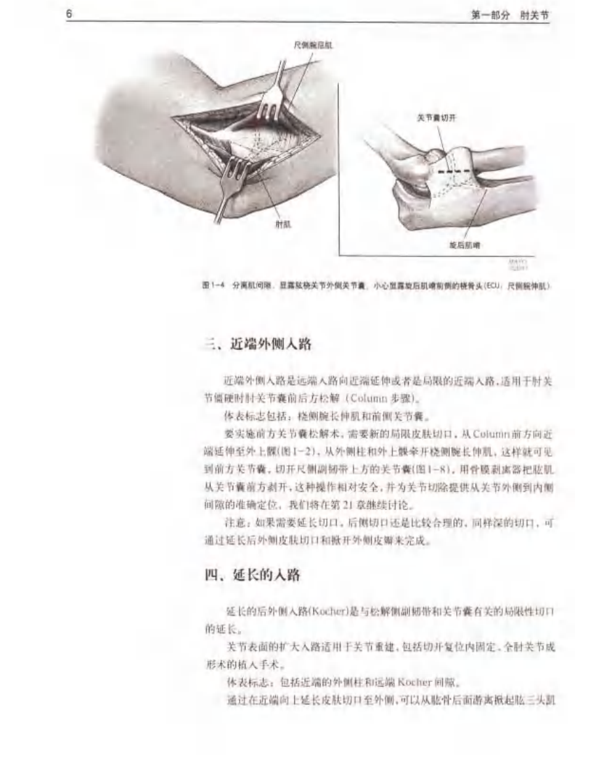 骨科标准手术技术丛书 — 肘.pdf 第5页