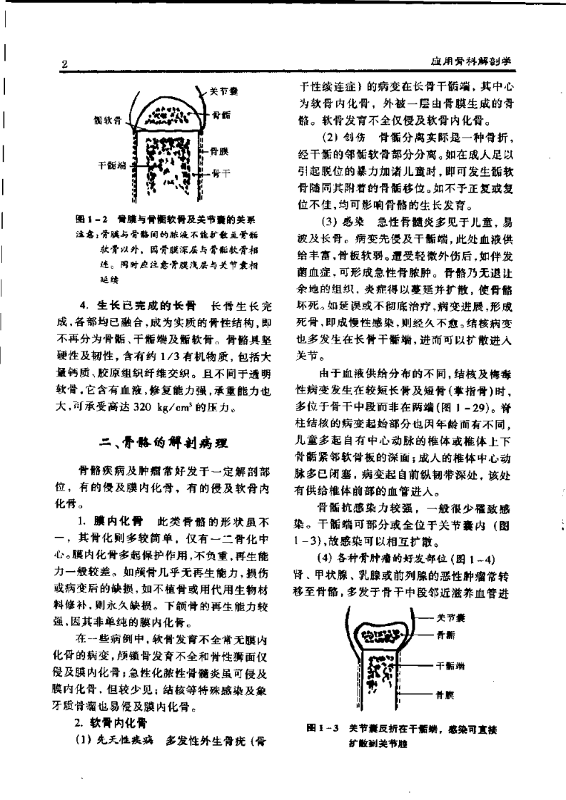 骨科应用解剖学.扫描版.pdf 第4页