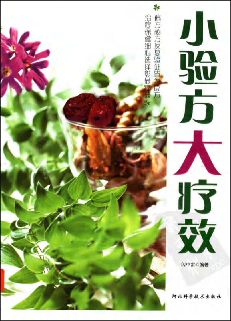 小验方大疗效（高清版）.pdf 第1页