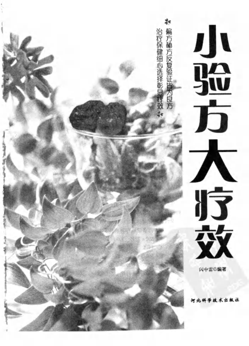 小验方大疗效（高清版）.pdf 第3页