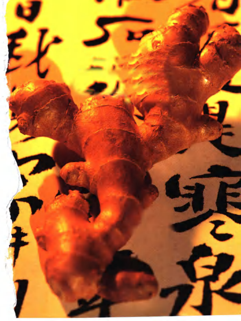 小验方大疗效（高清版）.pdf 第5页