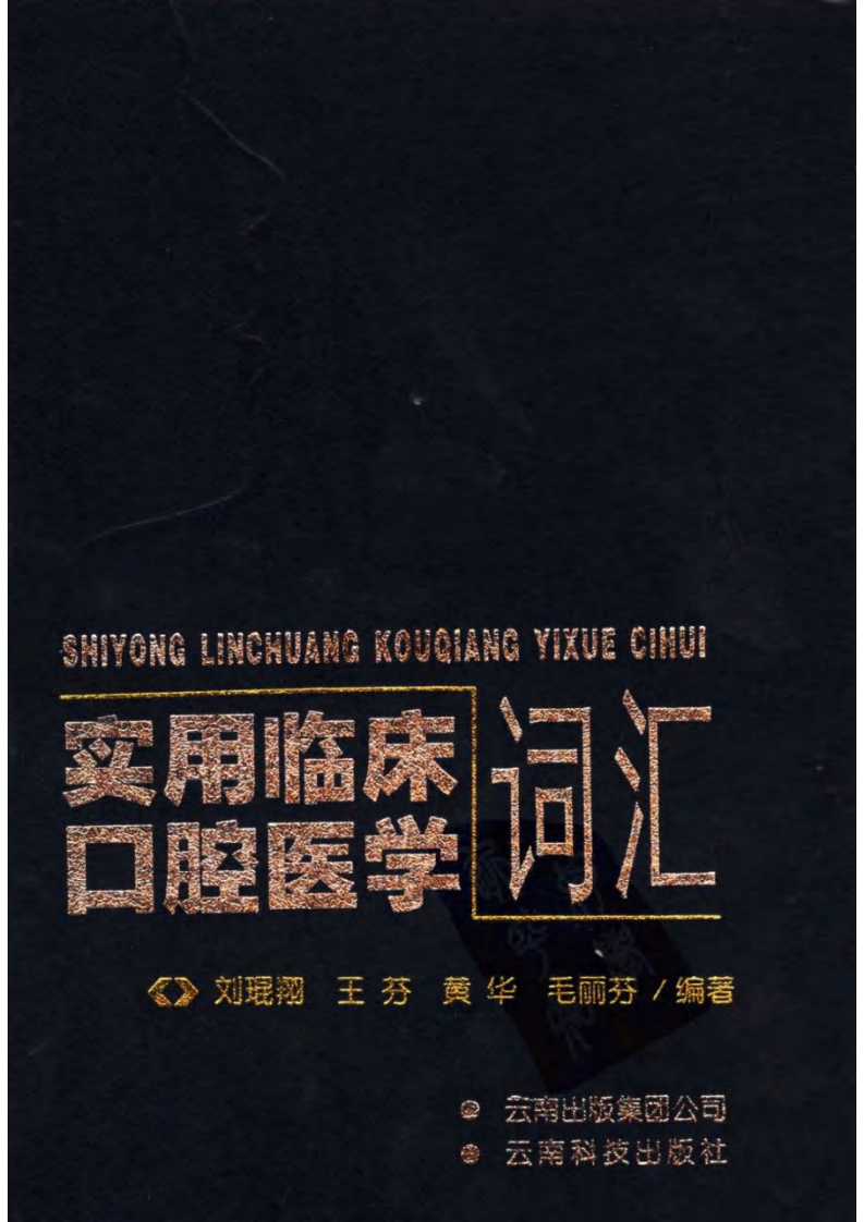 实用临床口腔医学词汇_11871704.pdf 第1页