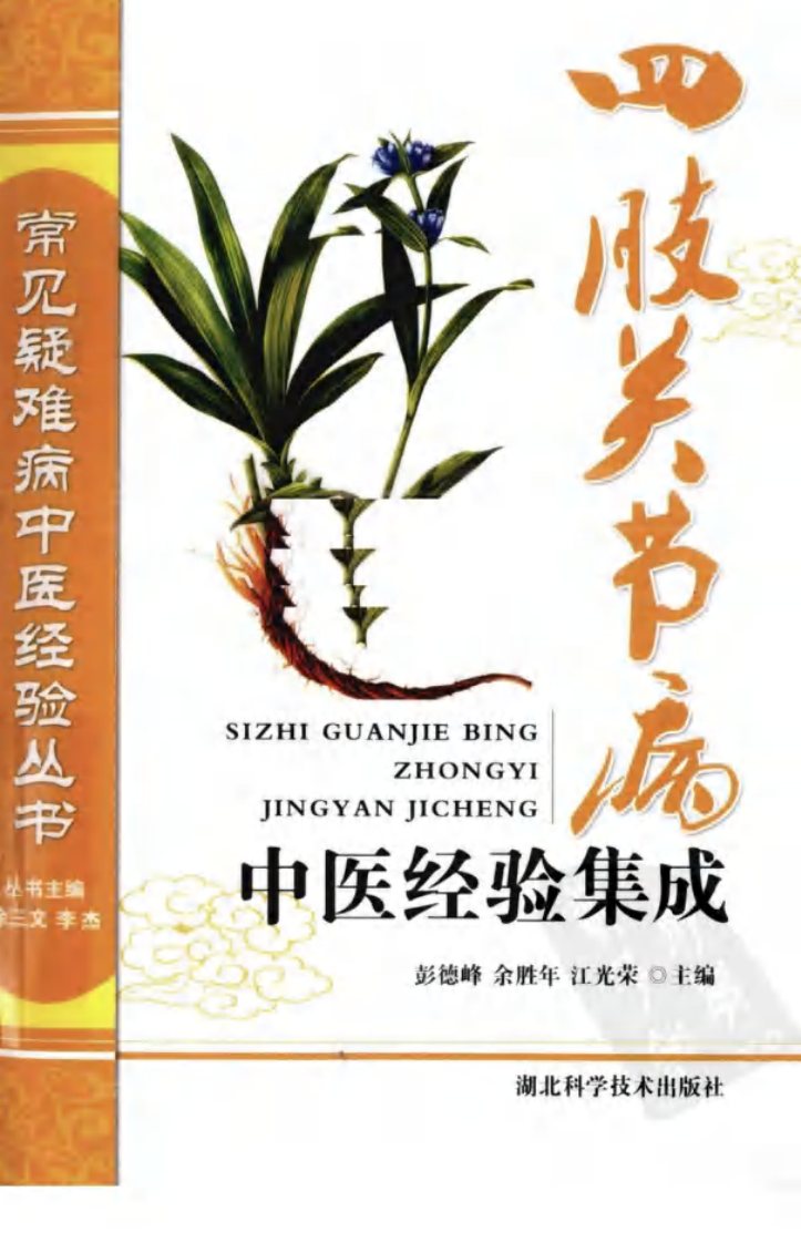 常见疑难病中医经验丛书—四肢关节病中医经验集成（高清版）.pdf 第1页