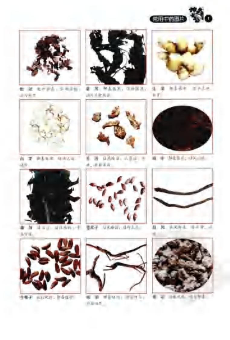 《百病一药灵》贾冬.刘文华.pdf 第5页