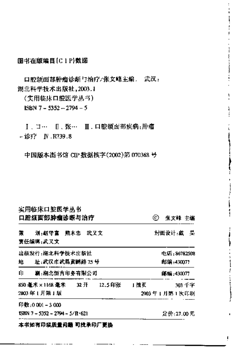 口腔颌面部肿瘤诊断与治疗.pdf 第4页
