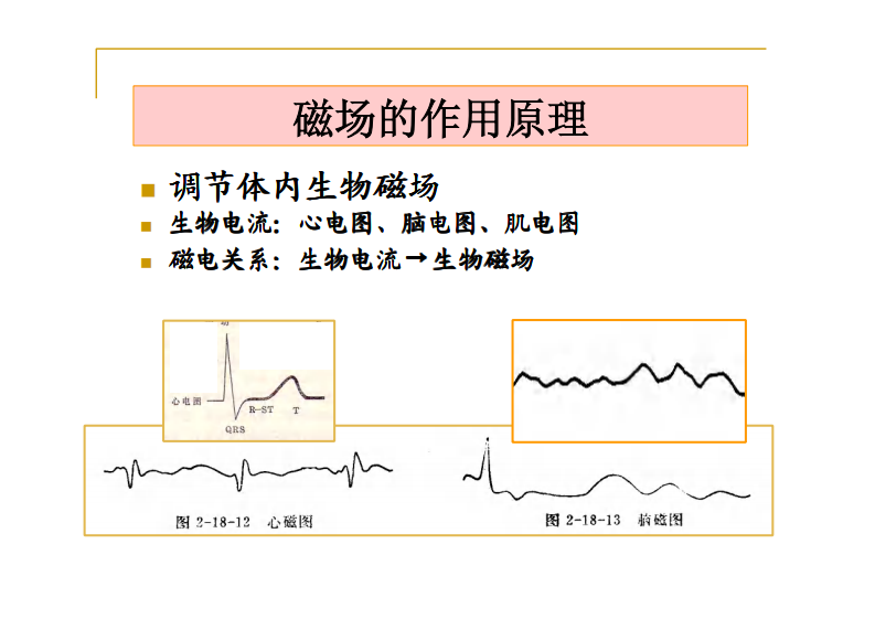 第三节 磁场疗法.pdf 第4页