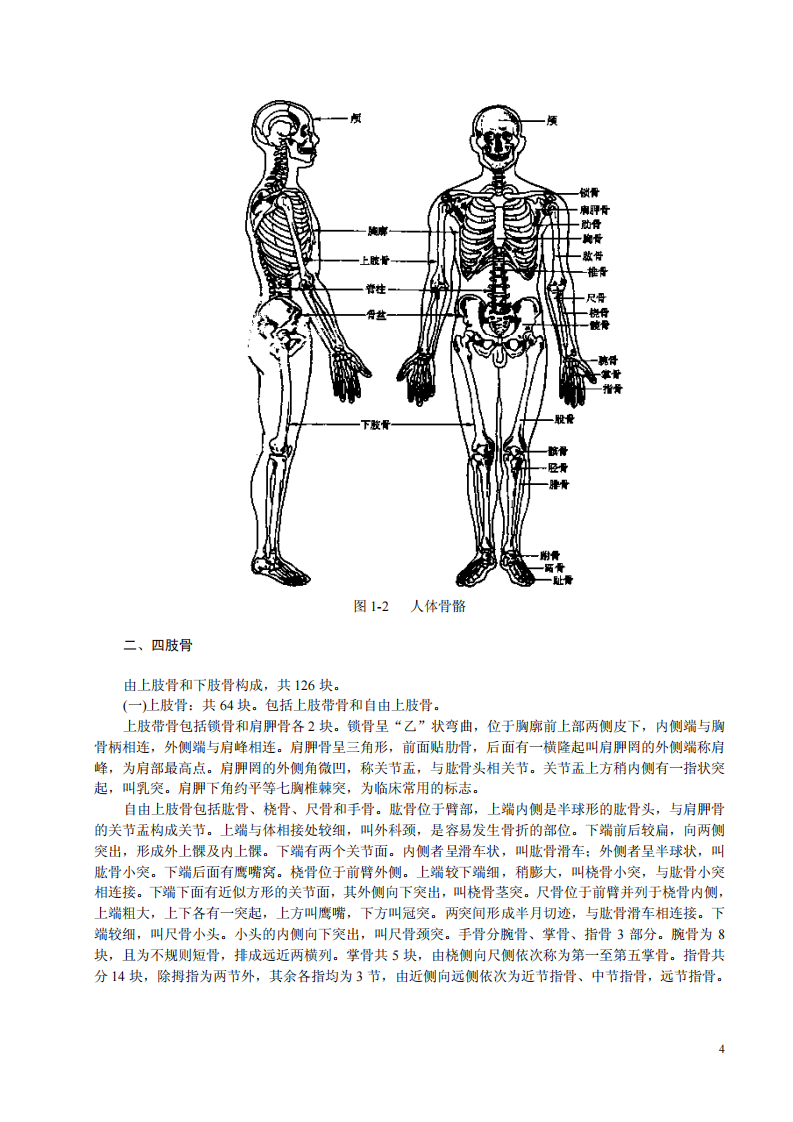 中国脊疗（田学主）.pdf 第4页