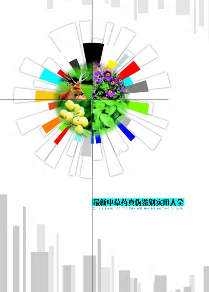 最新中草药真伪鉴别实用大全（彩图版）--第三卷（共四卷）.pdf 第2页