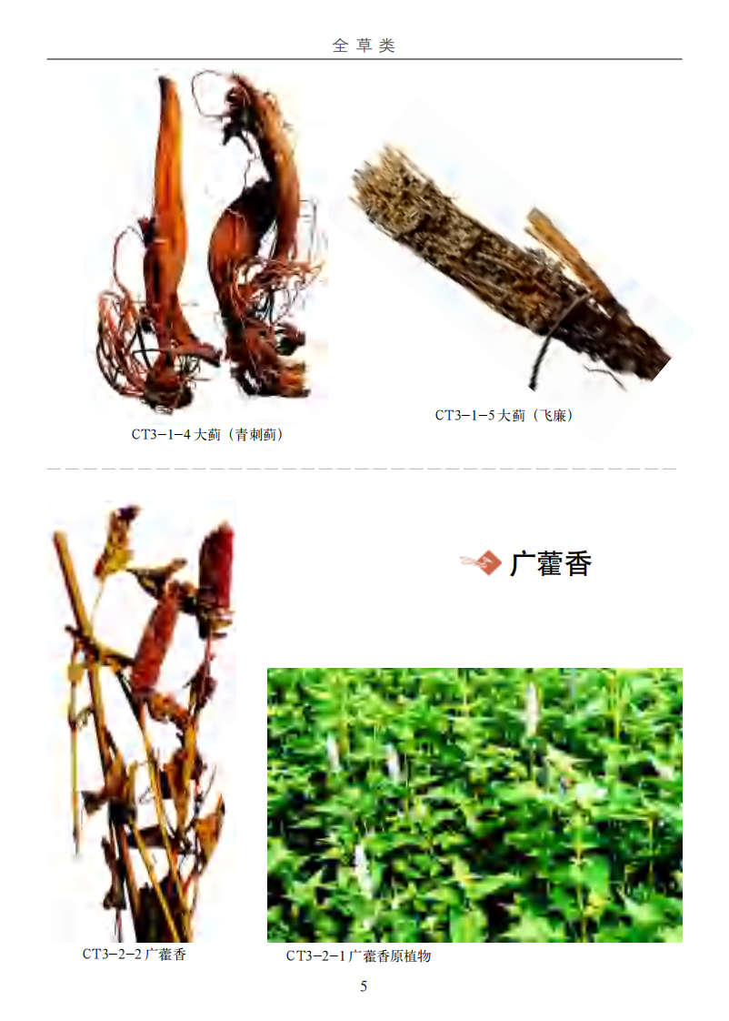 最新中草药真伪鉴别实用大全（彩图版）--第三卷（共四卷）.pdf 第5页