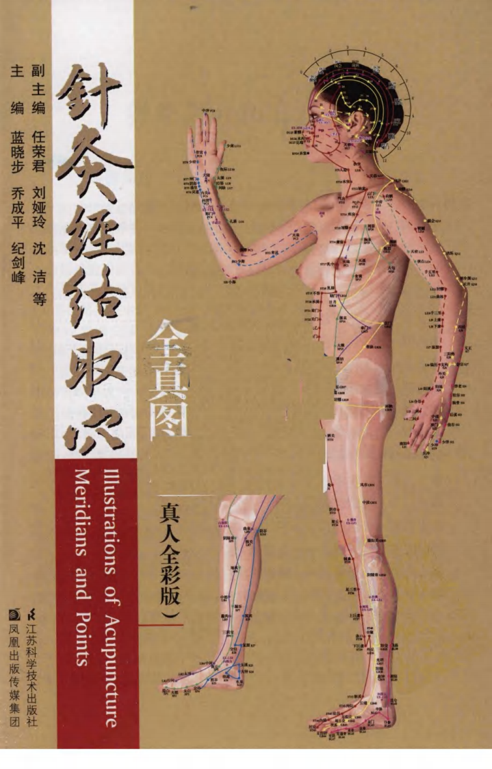 针灸经络取穴全真图解（超清全彩版）.pdf 第3页