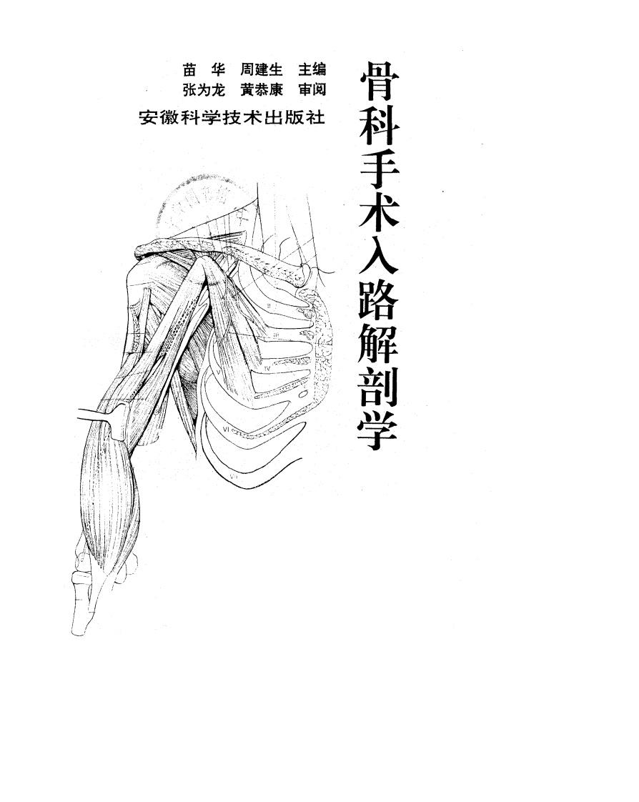 骨科手术入路解剖学.pdf 第2页
