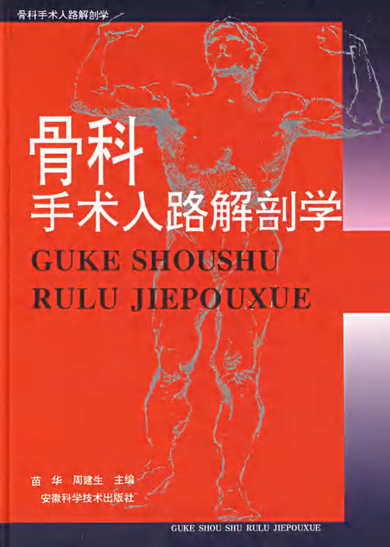 骨科手术入路解剖学.pdf 第1页