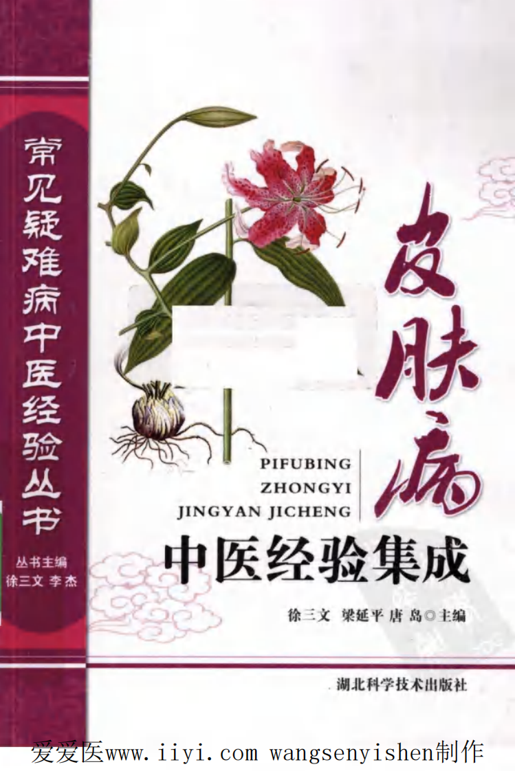 皮肤病中医经验集成.pdf 第1页