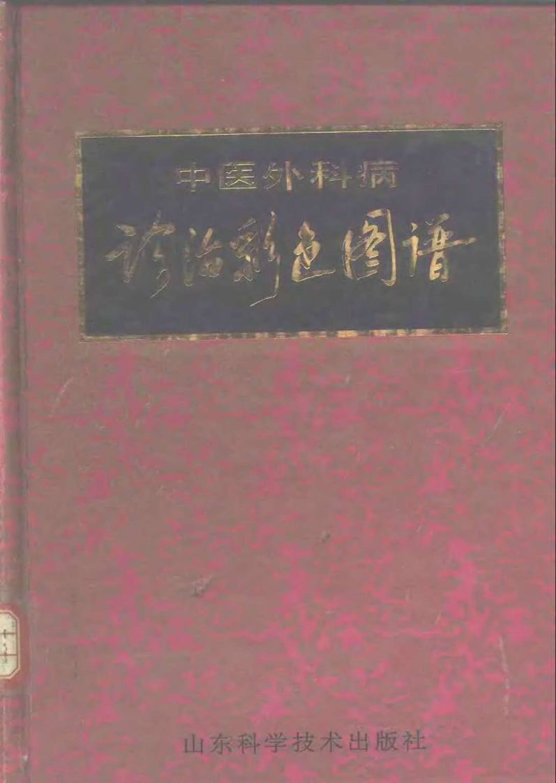 中医外科病诊治彩色图谱（李中玉）.pdf 第1页