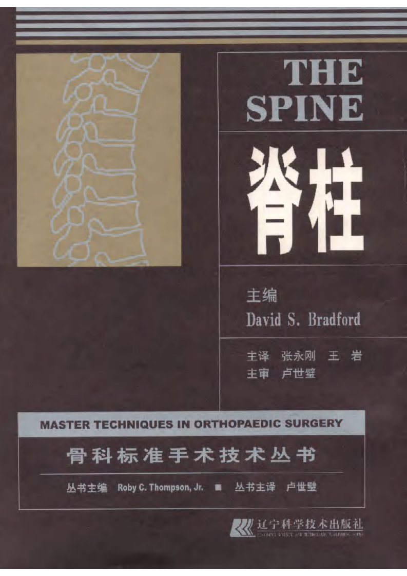 骨科标准手术技术丛书—脊柱.pdf 第1页