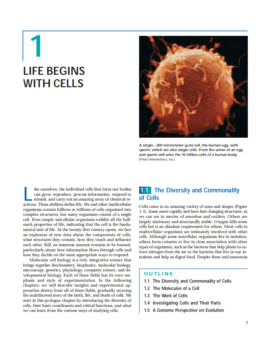 【分子细胞】Molecular Cell Biology 6ed.pdf 第1页