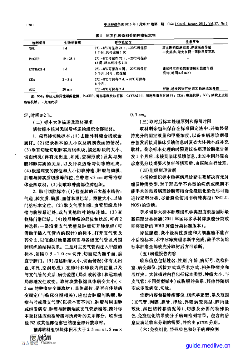 中国原发性肺癌诊疗规范(2015年版).pdf 第4页