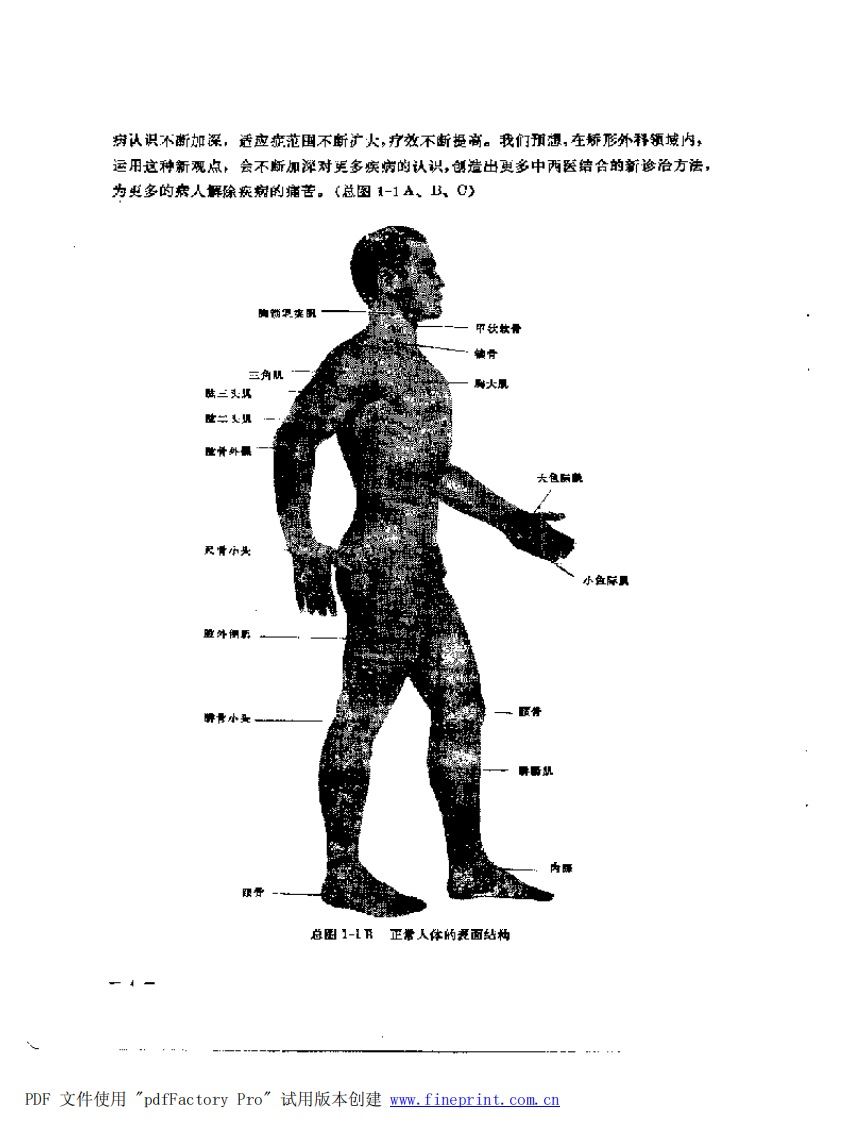 中西医结合治疗软组织损伤（冯天友）.pdf 第4页