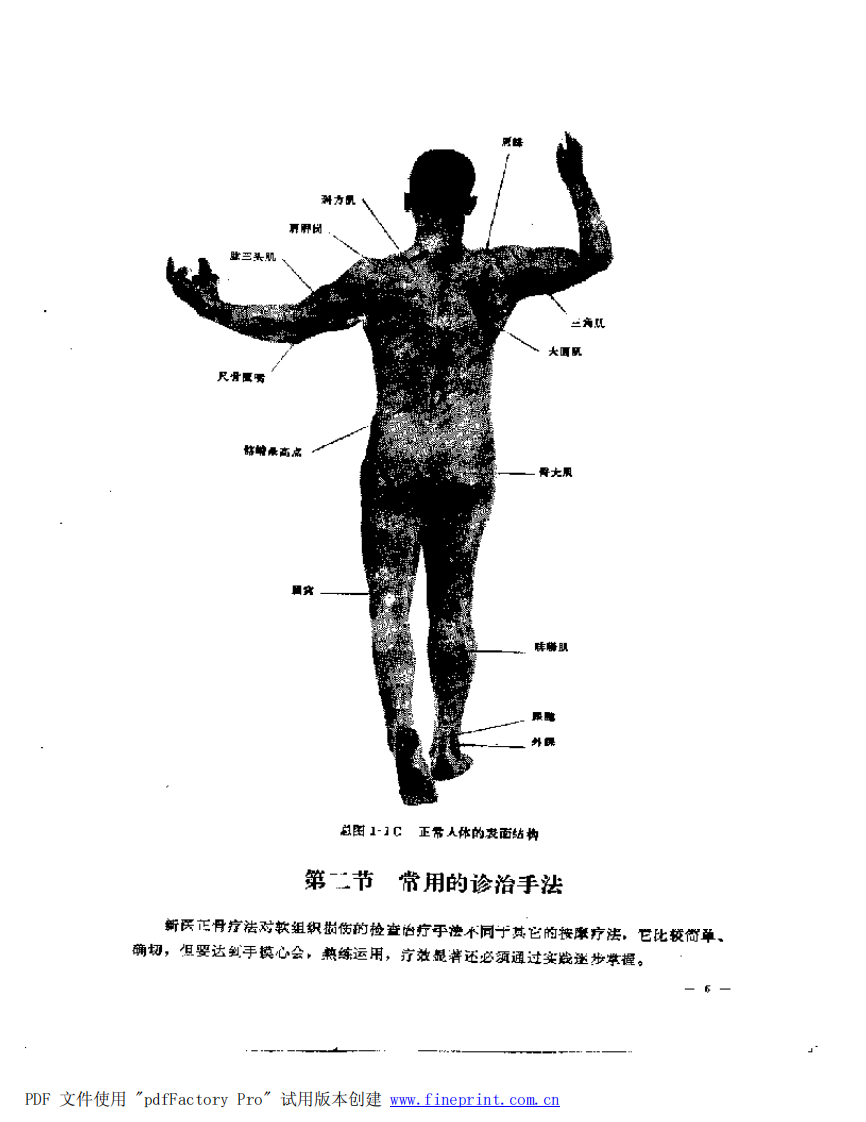 中西医结合治疗软组织损伤（冯天友）.pdf 第5页