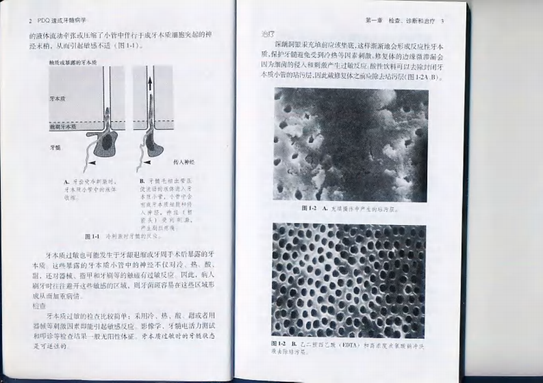 PDQ速成牙髓病学——更多口腔专业知识，请访问：牙医圈www.yayiquan..pdf 第3页