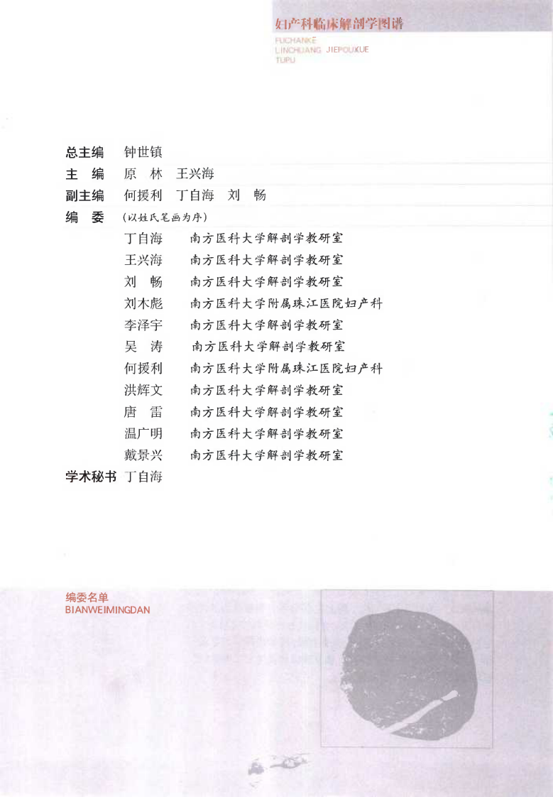 妇产科临床解剖学图谱（扫描版）.pdf 第1页