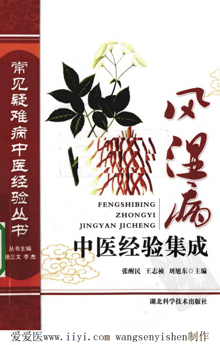 风湿病中医经验集成.pdf 第1页