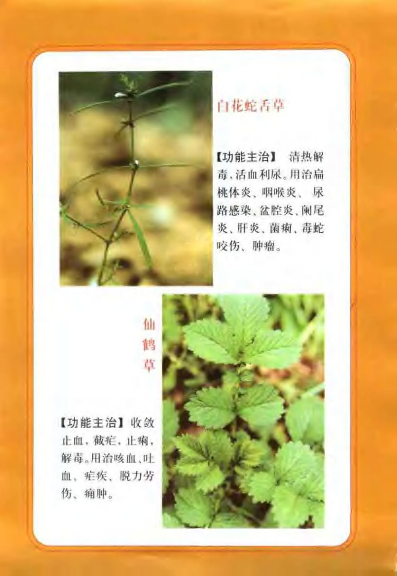 中国民间百草良方 王维主编.pdf 第2页