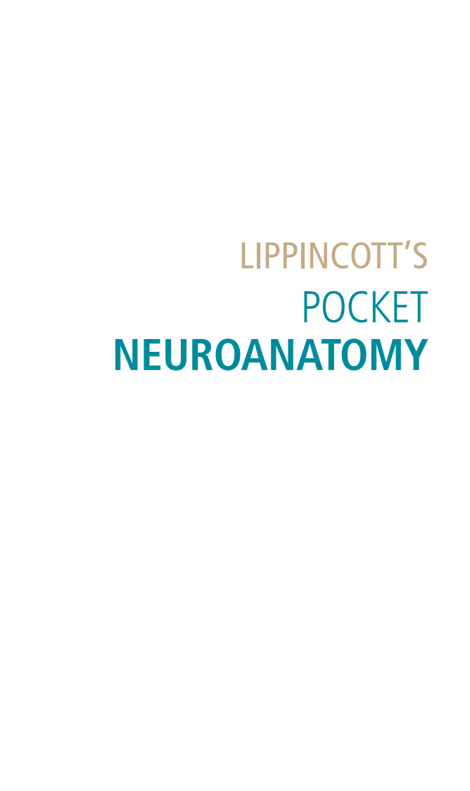 口袋神经解剖学（2013高清英文版）Lippincott's Pocket Neuroanatomy.pdf 第3页