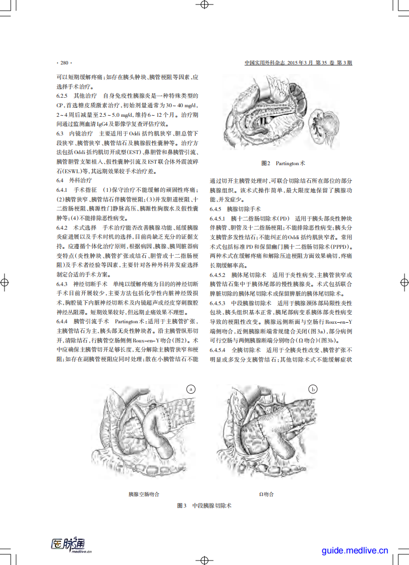 慢性胰腺炎诊治指南（2014）.pdf 第4页