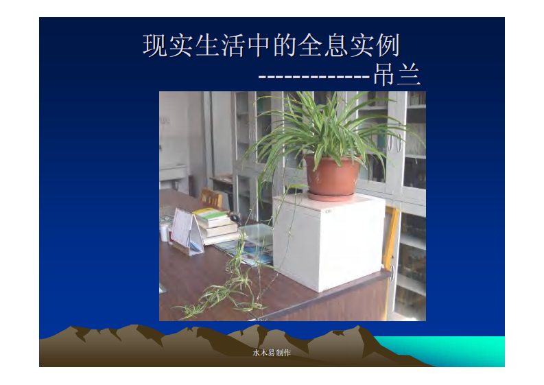 水木易--全息讲座.pdf 第3页