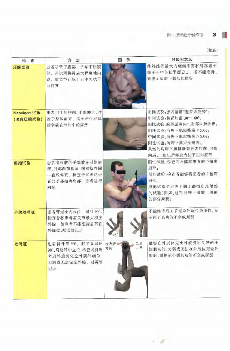 Wiesel  骨科手术学 附录.pdf 第3页