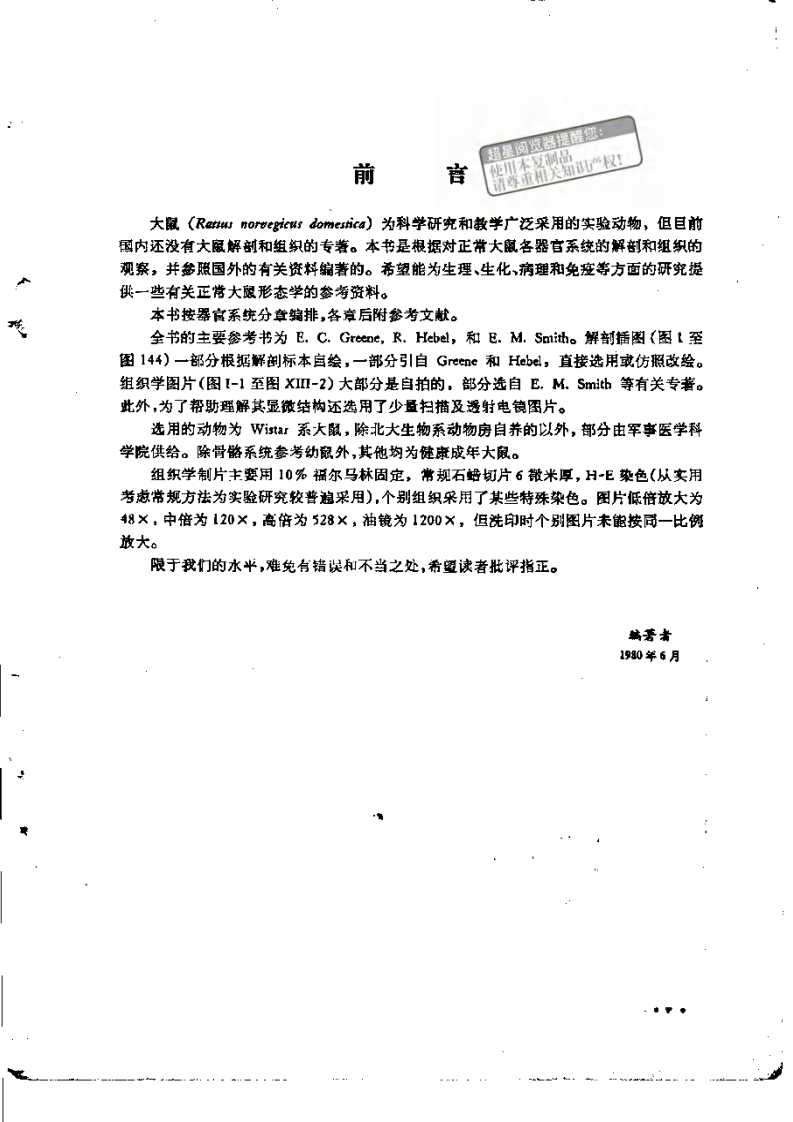 大鼠的解剖和组织.pdf 第2页