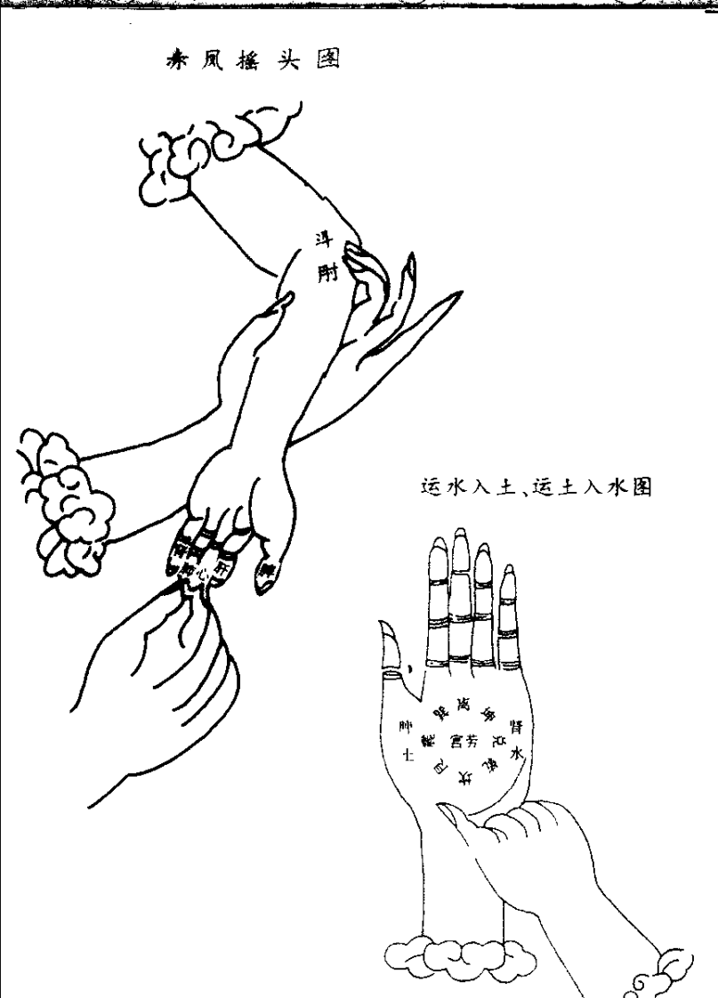 掌纹诊病全书（李群堂）.pdf 第1页