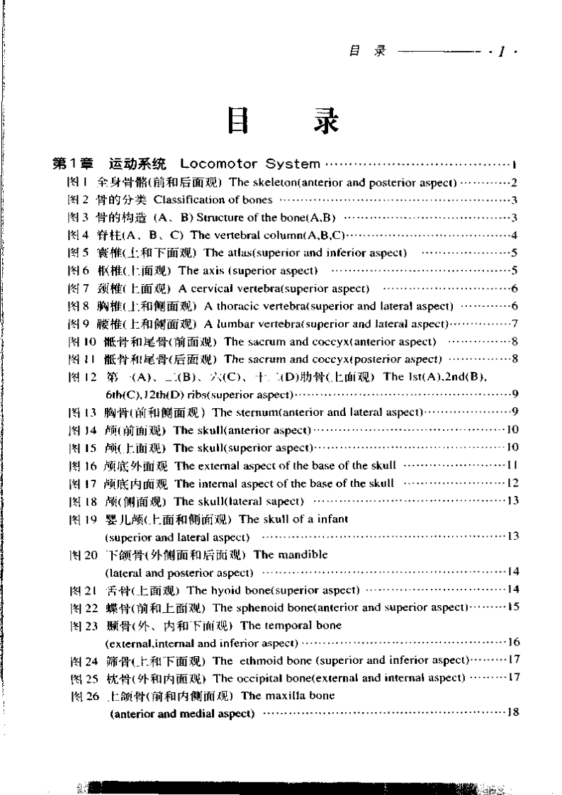 简明人体解剖彩色图谱.pdf 第4页