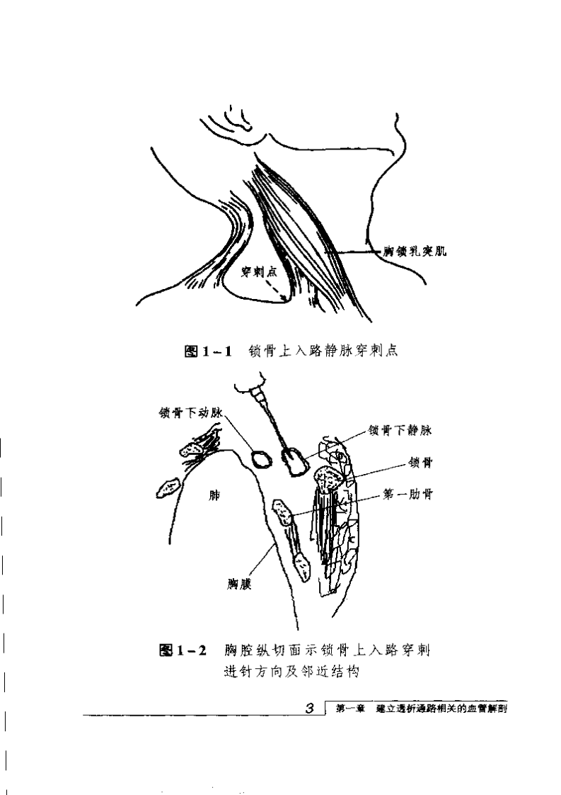 血管透析血管通路的理论与实践（扫描版）.pdf 第2页