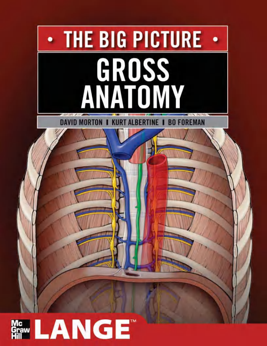 解剖学：大图片（2011高清英文版）Gross Anatomy The Big Picture.pdf 第1页